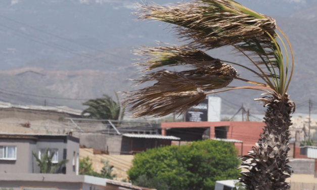 La borrasca Dorothea obliga a suspender las clases en El Hierro, Tenerife, La Gomera y zonas de La Palma de Gran Canarias