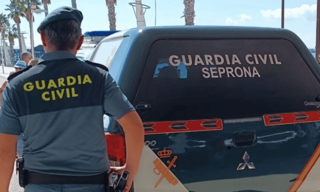 Detenido en Gran Canaria por un brutal caso de maltrato animal tras matar a una gata con un manojo de llaves