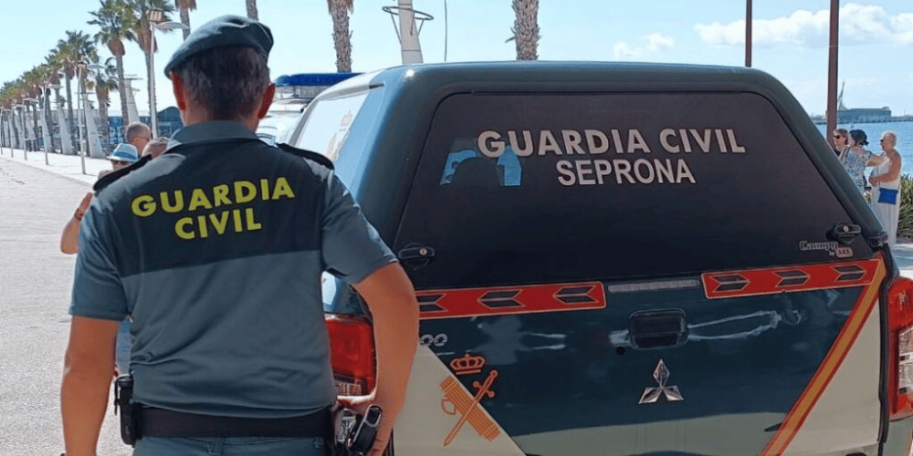 Detenido en Gran Canaria por un brutal caso de maltrato animal tras matar a una gata con un manojo de llaves