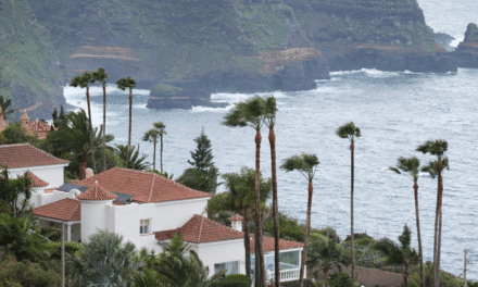 Borrasca Therese en Canarias: sigue EN DIRECTO la nieve en el Teide y los últimos cortes de carreteras