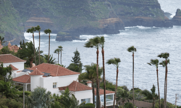 Borrasca Therese en Canarias: sigue EN DIRECTO la nieve en el Teide y los últimos cortes de carreteras